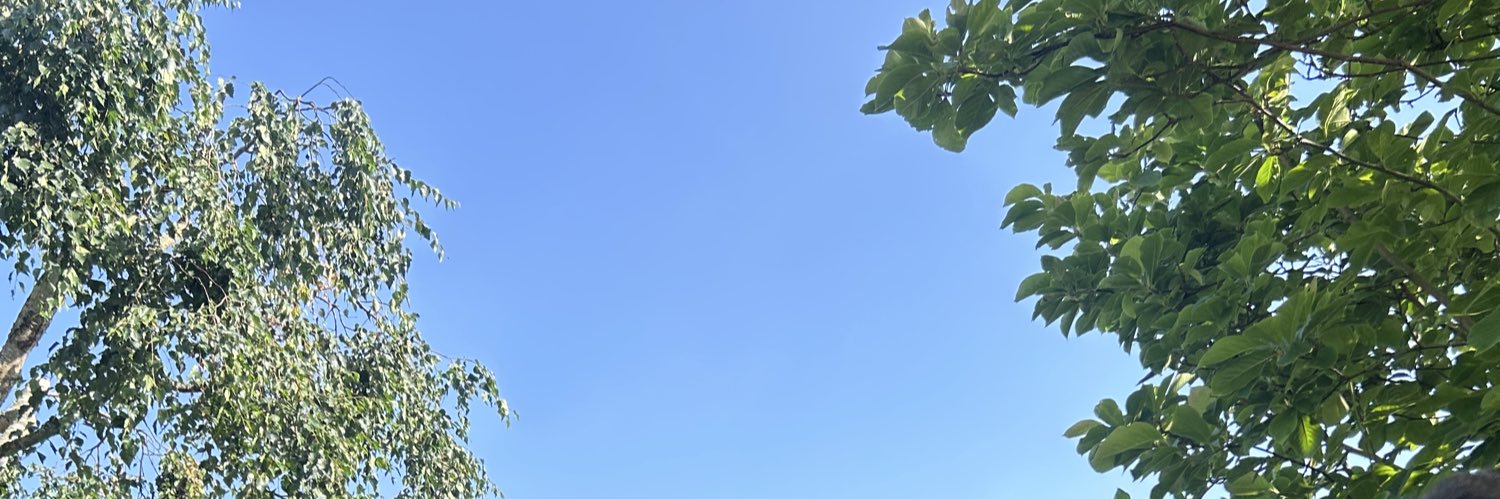 Clem banner