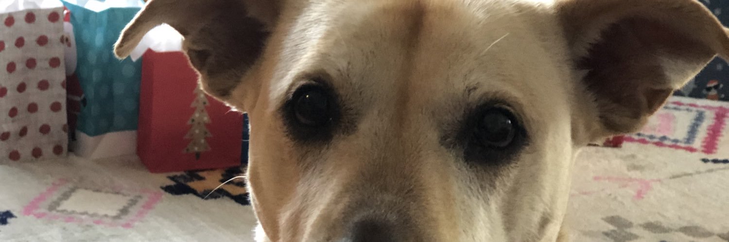 cathyleibfried's profile banner image