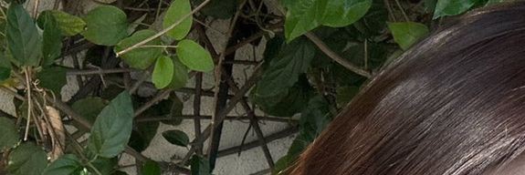 reistrant's profile banner image