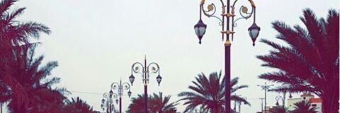 Ro7y2nta3's profile banner image