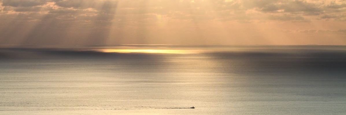 𐔌՞. .՞𐦯 banner