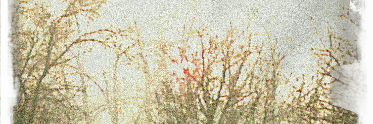 Strazak777's profile banner image