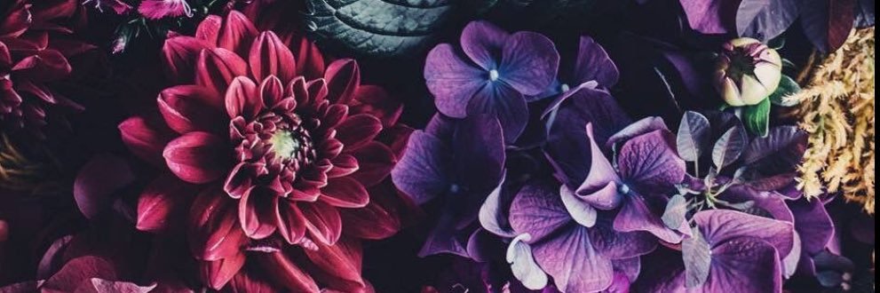_JoNaNa's profile banner image