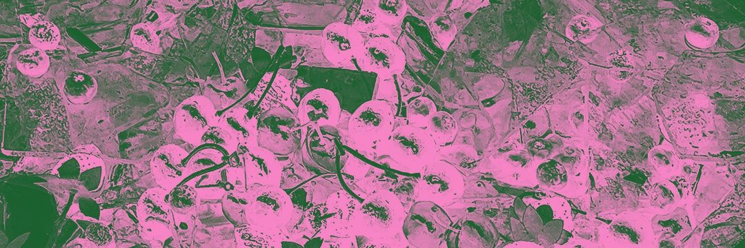 gee 🪭 is seeing mitski, laufey 🔜 BTS banner