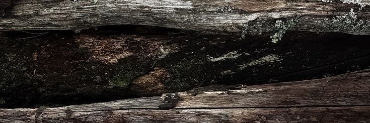ICHI banner