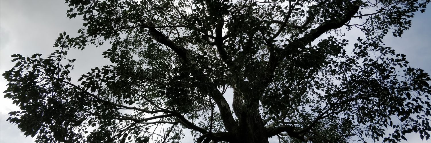 SyncinShip's profile banner image