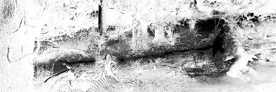txthueningkai's profile banner image