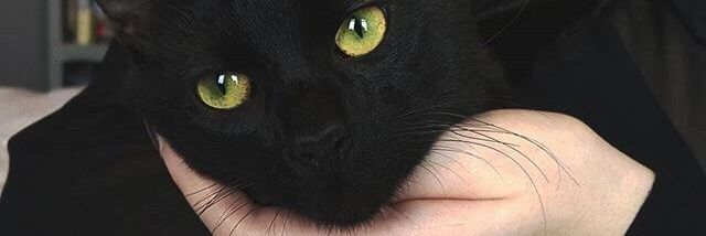 koleda_39's profile banner image