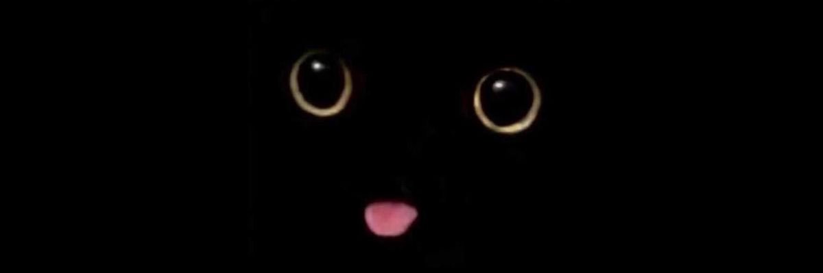 aphrxbite's profile banner image