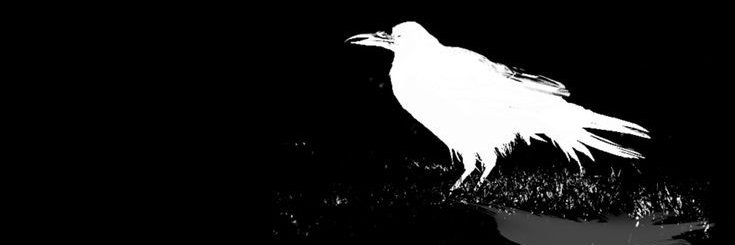 respecttrum's profile banner image