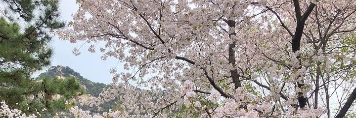 dafny_pri09's profile banner image