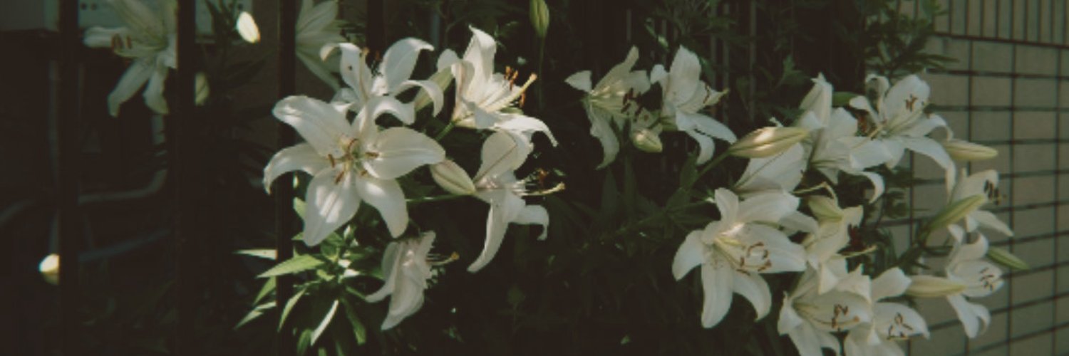 baleurina's profile banner image