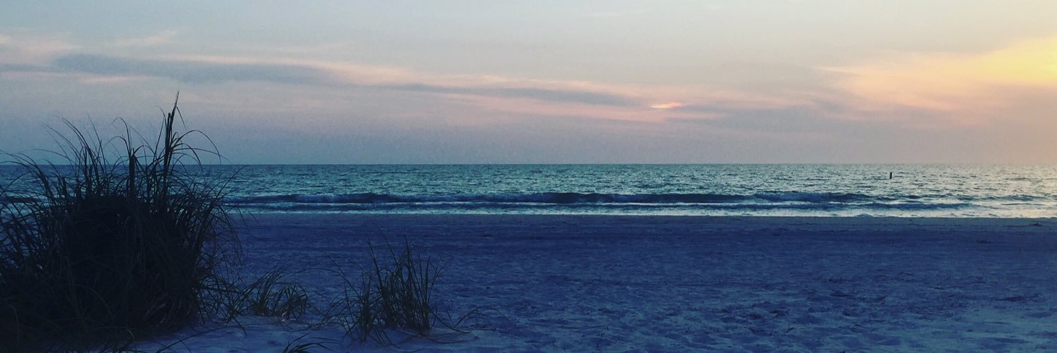 MeredithB320's profile banner image