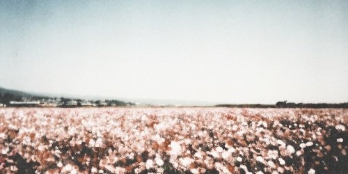 AllisonGrandeTT's profile banner image