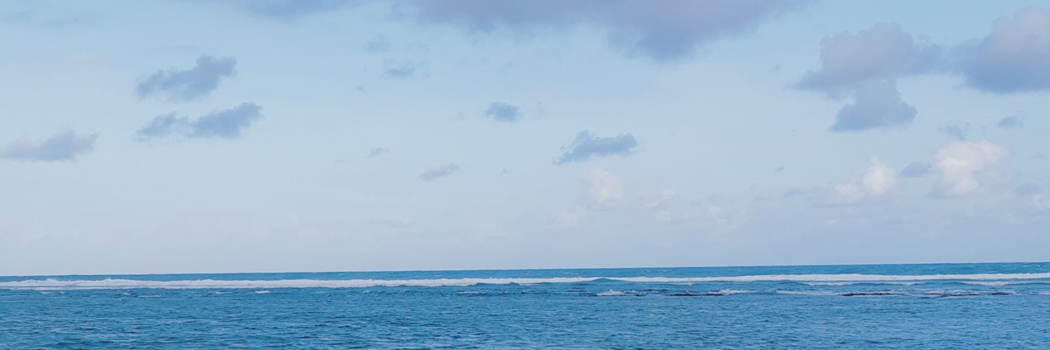 marshaswl's profile banner image