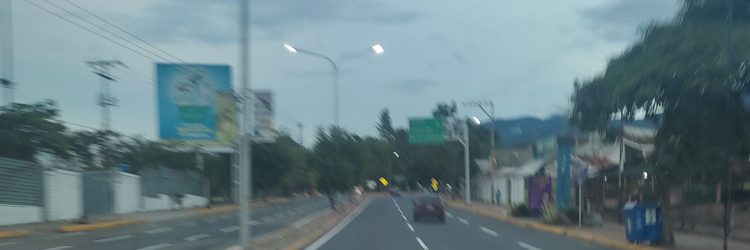nelsonsch23's profile banner image