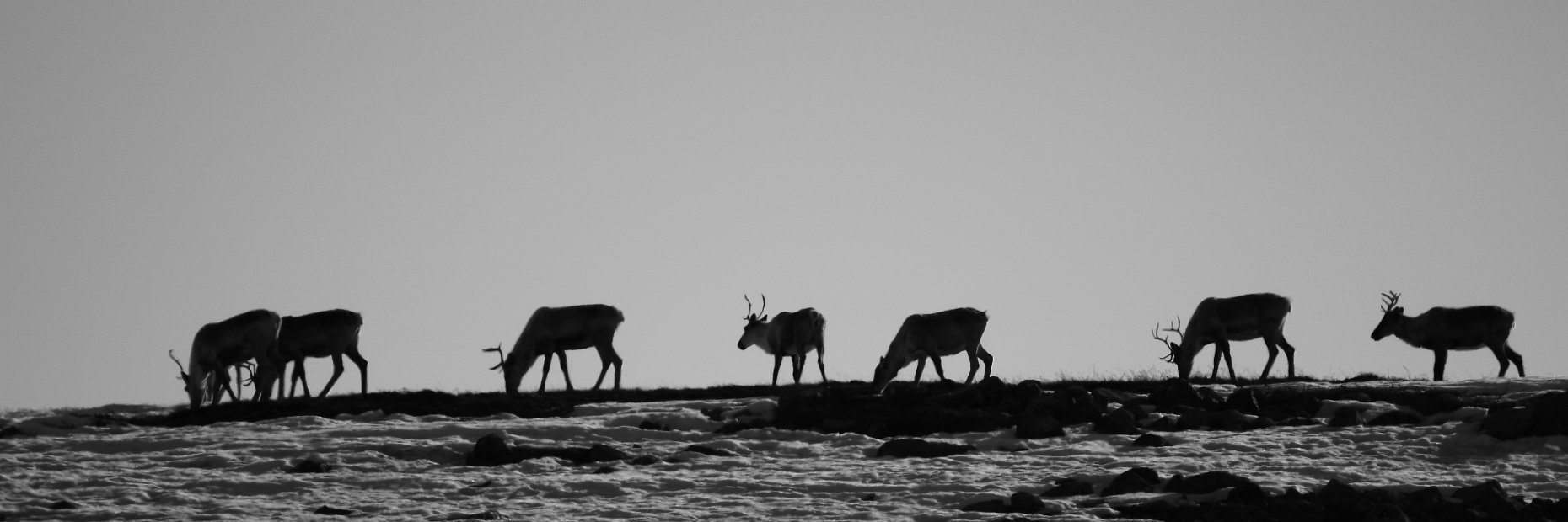 Toolik Field Station banner