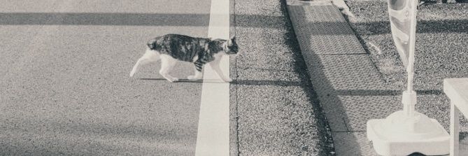 Amsal E. ☆ banner