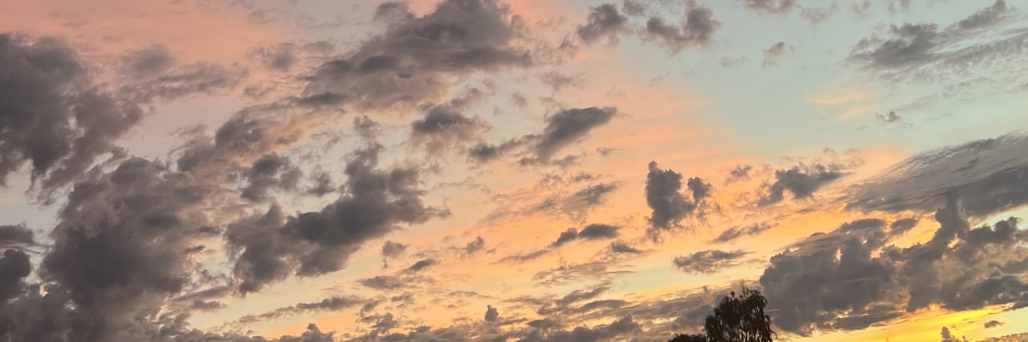 ashleyyla's profile banner image