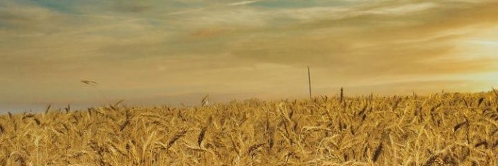 DomkeNicolas's profile banner image