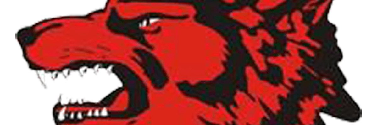 PalmviewNHS's profile banner image