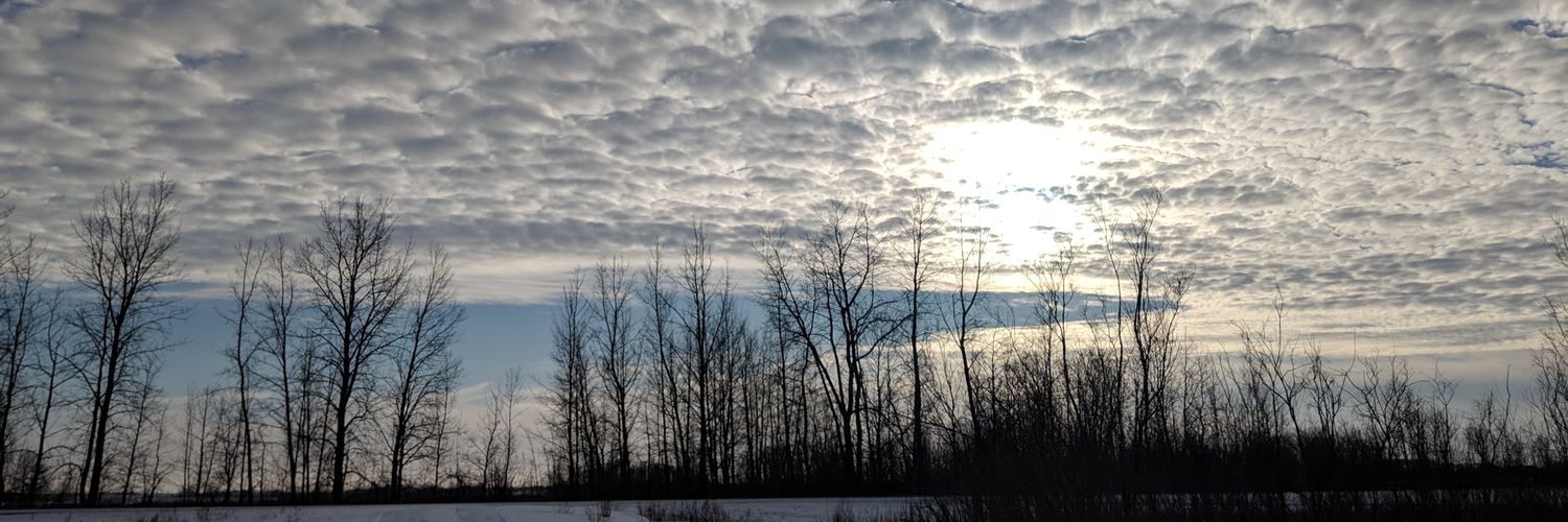 blake_weiseth's profile banner image