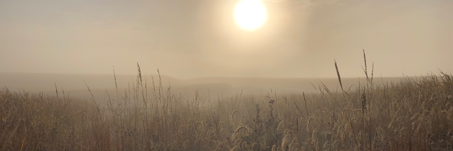 eric_henning4's profile banner image