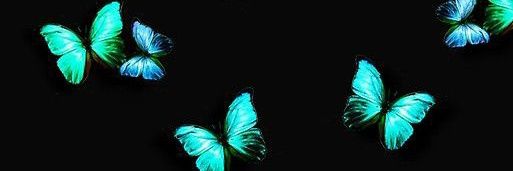lachicaderuloss's profile banner image