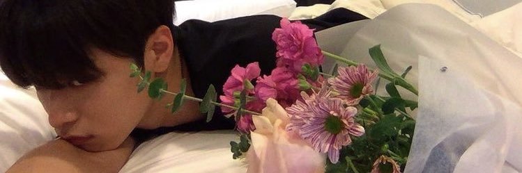 gan banner