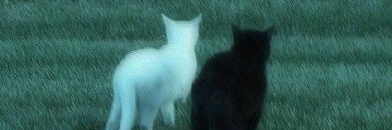 cadsge's profile banner image