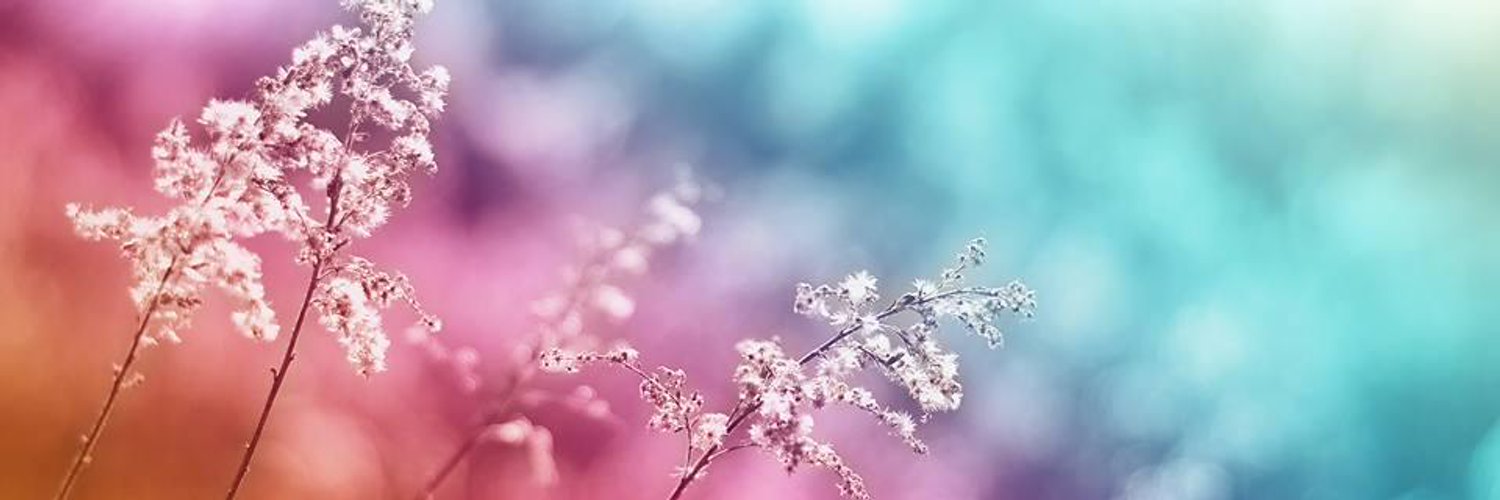 LauraBatida's profile banner image