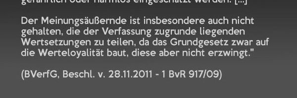 Volker Boehme-Neßler's banner