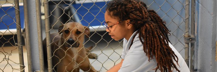theinnerpup's profile banner image