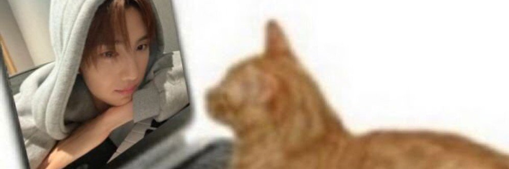 Minje banner