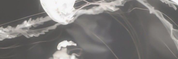 mercy banner