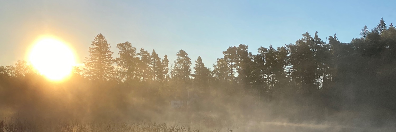 woksebs's profile banner image