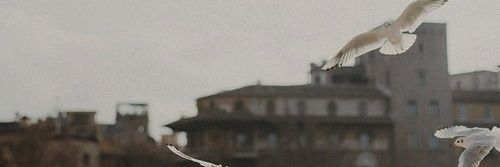 jatnikabeloved's profile banner image