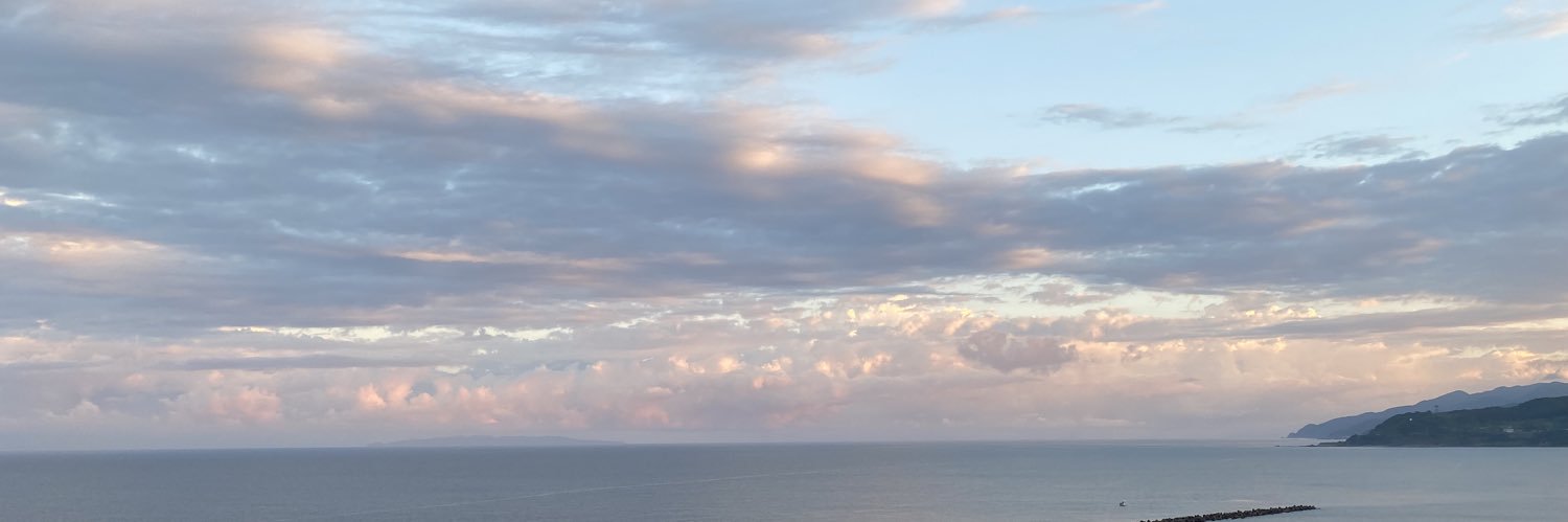 ruisizu's profile banner image