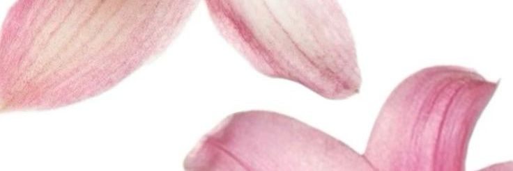 merykurius's profile banner image
