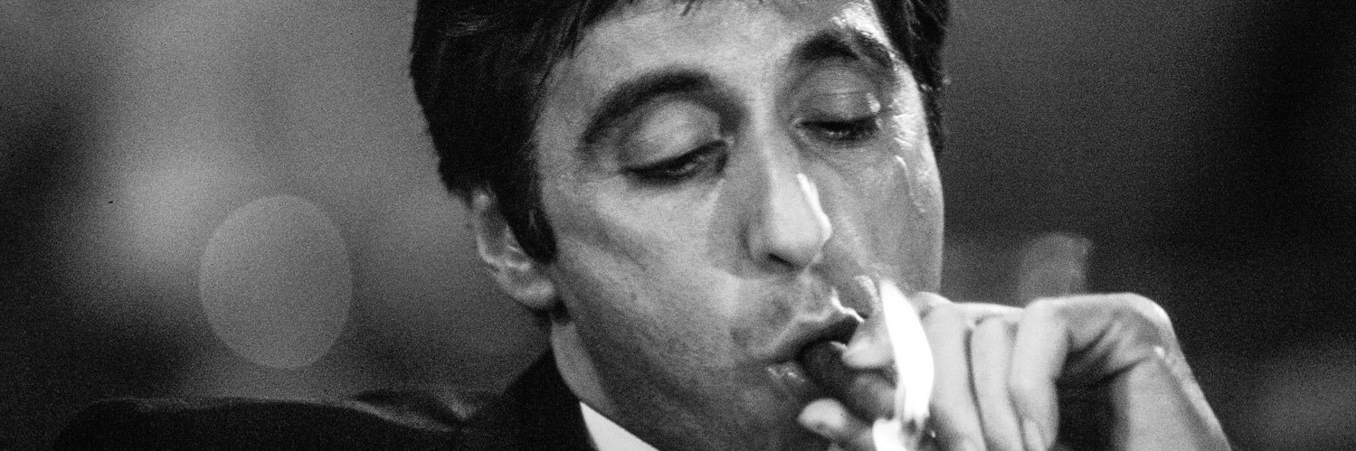 CryptoTrex ☀️ banner