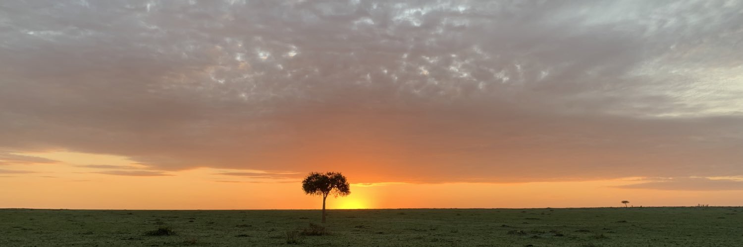 svomarek's profile banner image