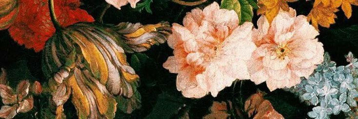 veiledevernight's profile banner image
