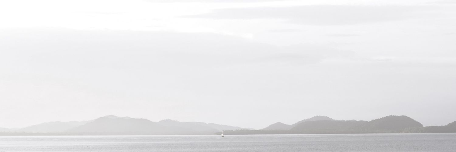 misterii_'s profile banner image