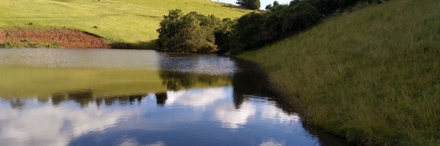 DylanSCEPotter's profile banner image