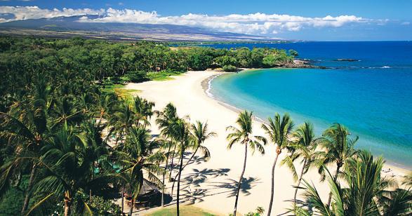 J. 'Ālapa Clark banner