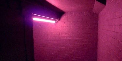 SelenaRPGXOXO's profile banner image
