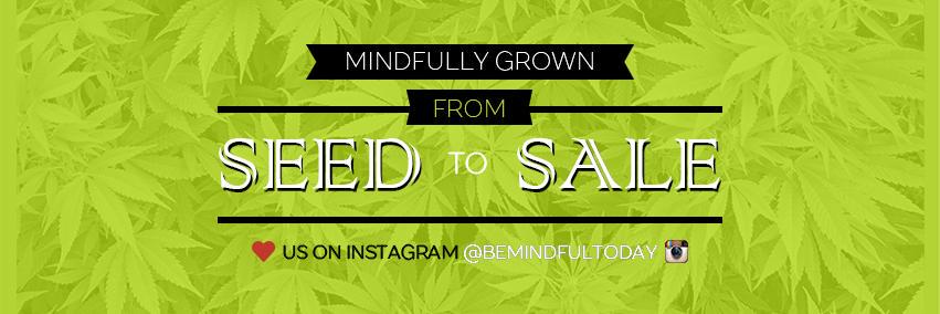MiNDFUL banner