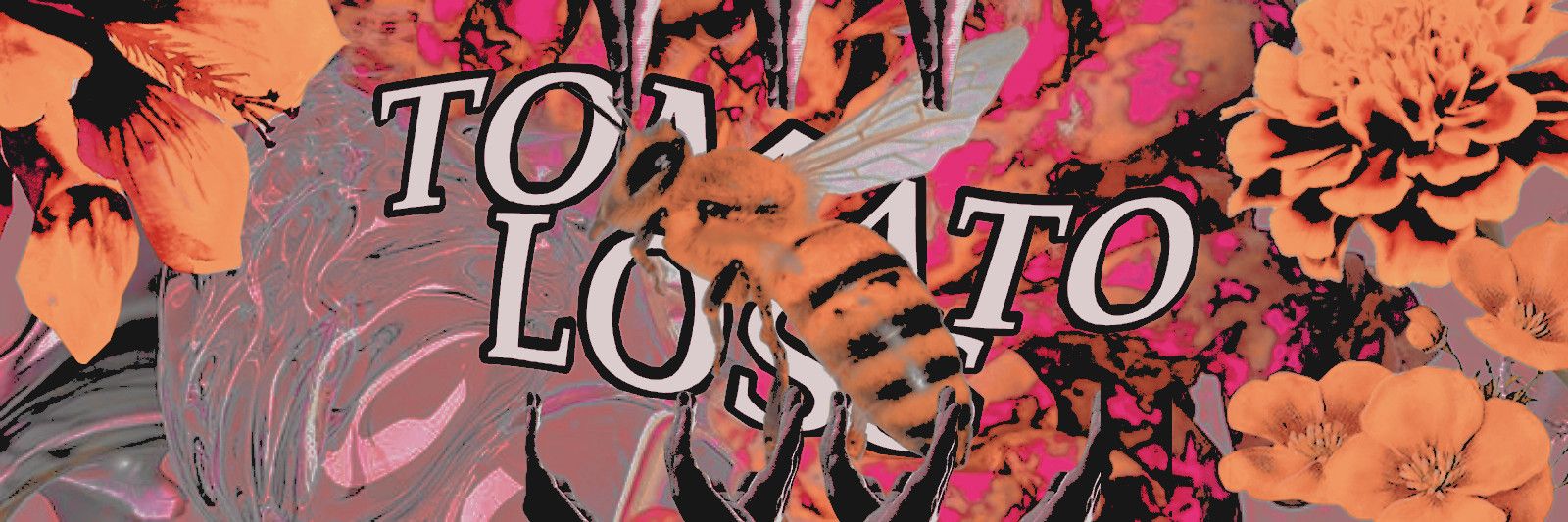 beesthen's profile banner image