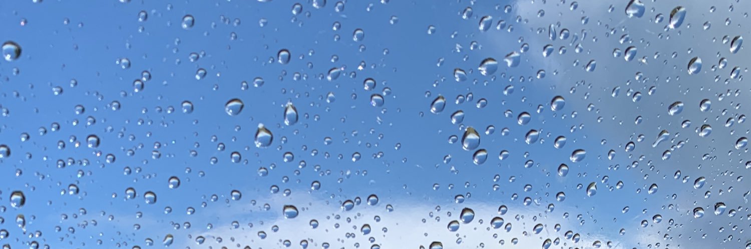 Sally Cooper banner
