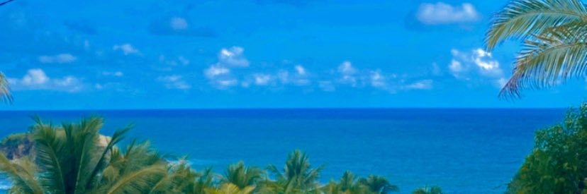DinAmaliyaa's profile banner image